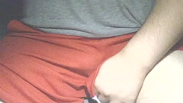 Show Webcam de emr077