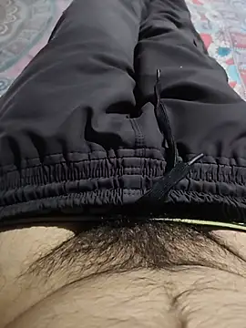 karandeep_Bhagatn Webbikameraesitys