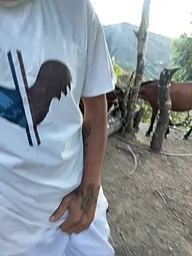 sky-wolves webcam show