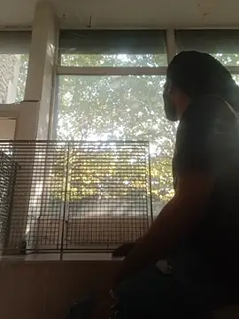 Mikaaa97 웹캠 쇼