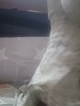 Jeya_thakur Cameră chat live