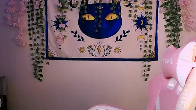 MollyKissy 실시간 채팅방