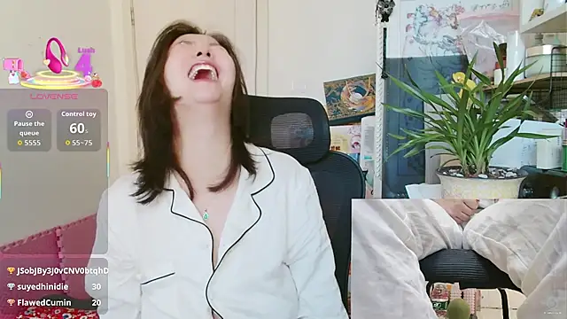 sallycui Show Webcam