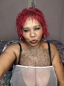 Javel123 লাইভ XXX চ্যাট