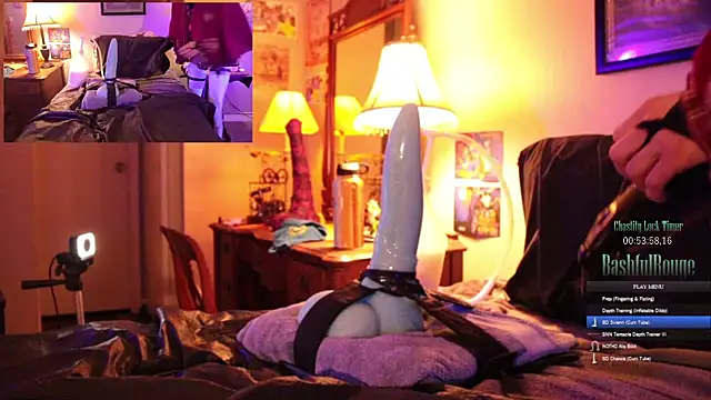 BashfulRouge Webcamshow