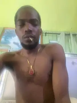 Show Webcam de UNCUTKING10inch