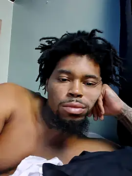 Show webcam de Painstickwes