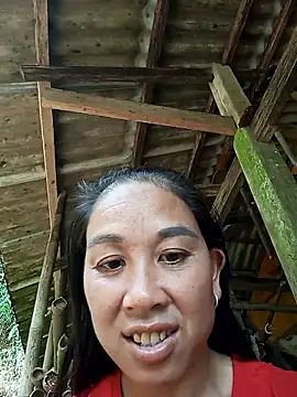 vtmbae Pertunjukan Webcam