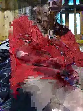 Bilik Sembang Langsung vtmbae