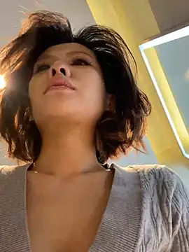عرض كام Sunflower-77