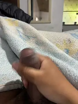 Pertunjukan Kamera Web 1Saafado