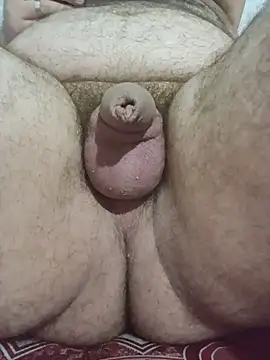 big_bearr 웹캠 쇼
