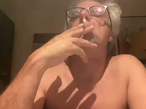 chtentation Show in webcam