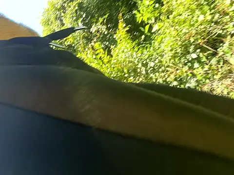 NastyNate19xx's Webcam Show