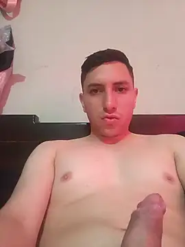 Show de webcam de MacroP24