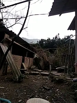 zhen-zo's Webcam Show