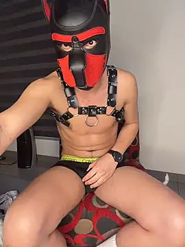 zamir333 webcam show