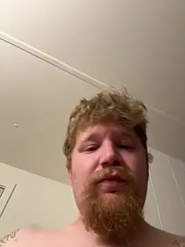 curiousbiguy420's Live XXX Chat