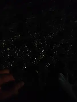 thonyx93 在線直播表演