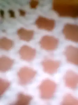 Sala de chat ao vivo de Apeesynka55211