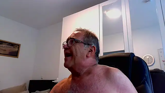 Show Webcam de horstchen