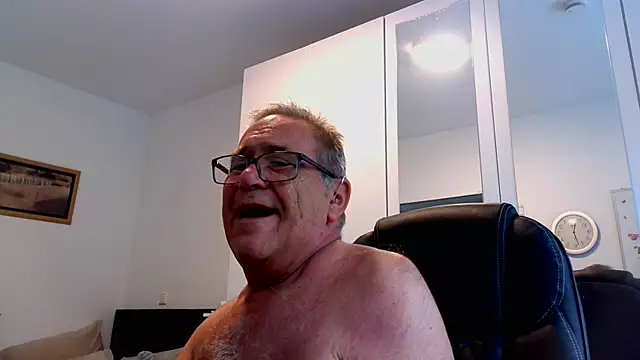 הופעת וובקאם של horstchen