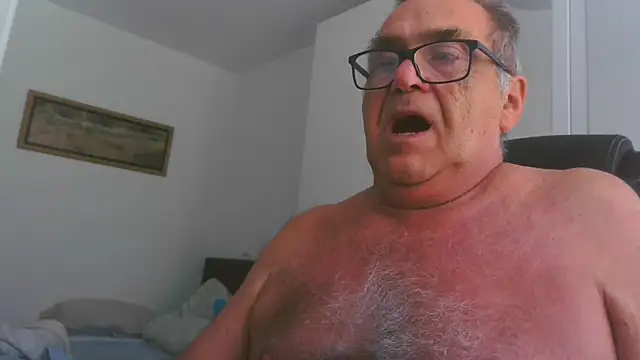 Show Webcam de horstchen