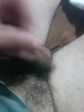 Show Webcam de Sphynx010