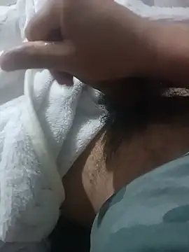 عرض كام Sphynx010
