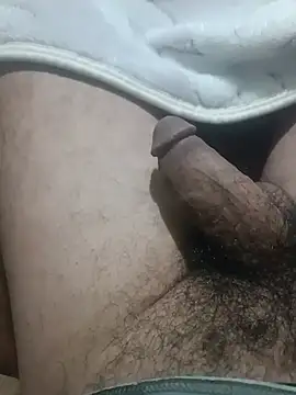 Sphynx010 网络视讯表演