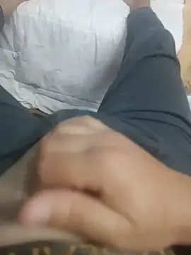 عرض كام Sphynx010
