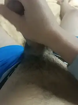 Sphynx010 Pertunjukan Webcam