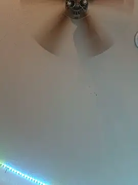 Show Webcam de TopOfTheMap