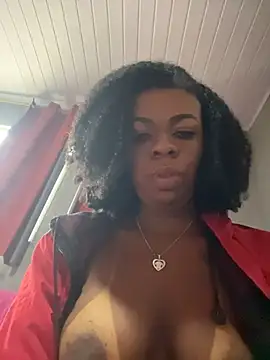 Show de Priihmedeiros na webcam