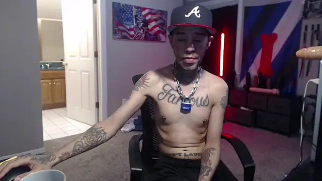 Show webcam de Michigan9000