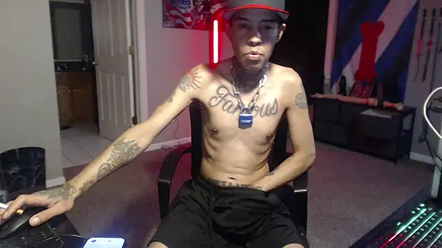 Show webcam de Michigan9000