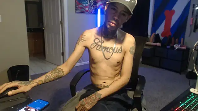 Show modela Michigan9000 na web-kameri