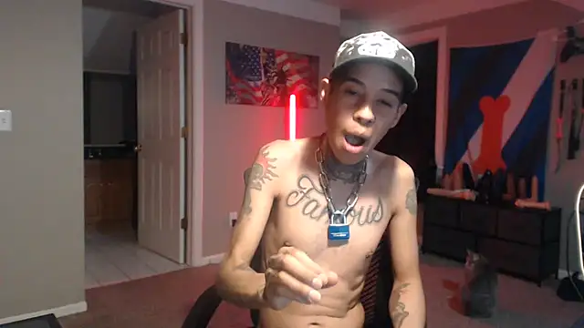 Michigan9000 Webcam-Show