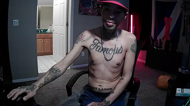 Show de Michigan9000 na webcam