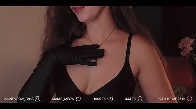 Mamiemeow's Webcam Show