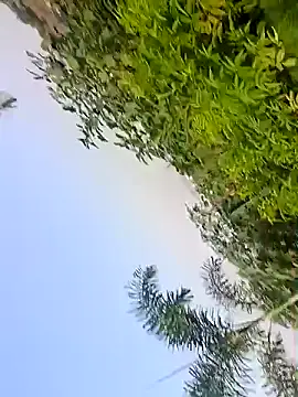 hemcrazy Webcam-Show