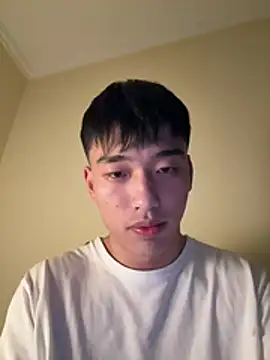 123568e Show Webcam