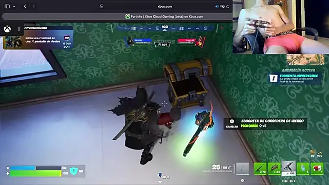 Ed15399 Pertunjukan Webcam