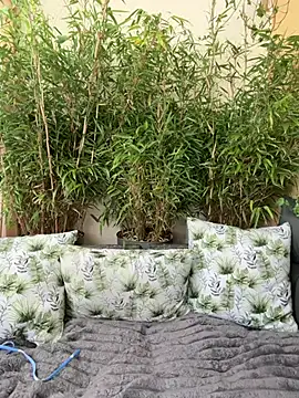LinaLeana's Webcam Show