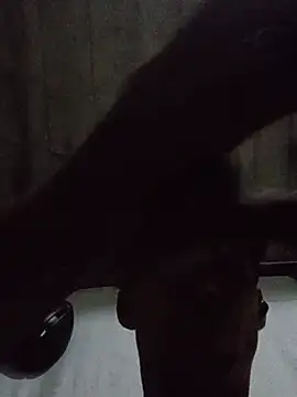 8uno 웹캠 쇼