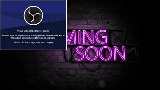 TamekiaSamii's Webcam Show