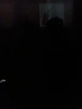BiggerDickGuy: διαδικτυακό σόου στην κάμερα