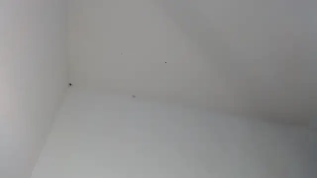 drako_monster Adlı Modelin Canlı Sohbet Odası