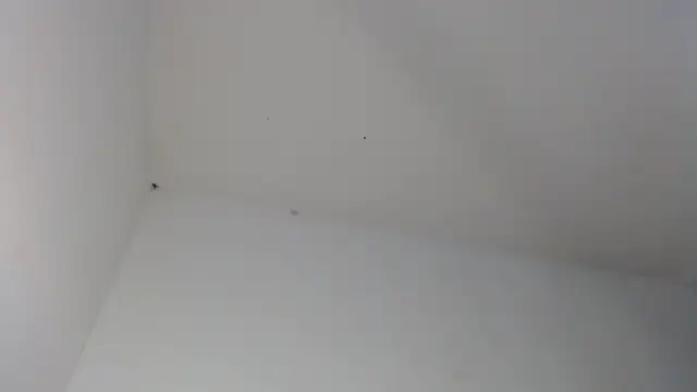 drako_monster Live Chatraum