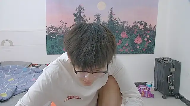 Show modela KK-cuteboy na web-kameri